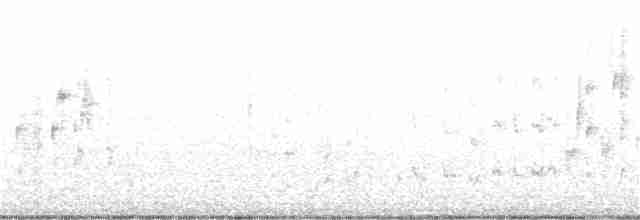 Marsh Wren (palustris Group) - ML372497951