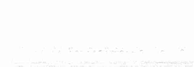 Tinamou perdrix - ML372528321