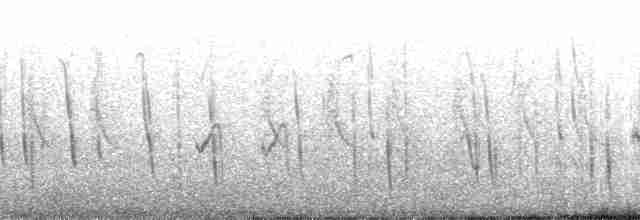 Бронзовая нектарница - ML37254