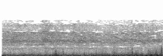 South American Tern - ML372568261