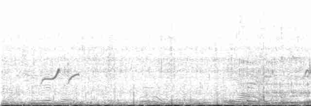 Длинноногая тиркушка - ML372574901