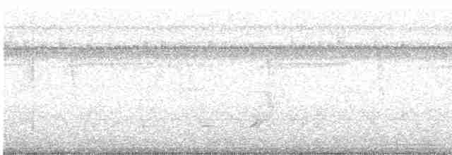 Crested Bobwhite - ML372580021