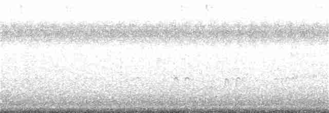 Кулик-сорока довгодзьобий - ML372618661