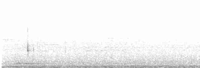 hrdlička kropenatá - ML372620721