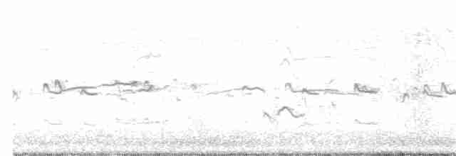 太平洋金斑鴴 - ML372634151