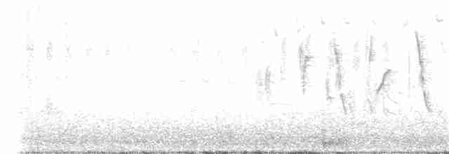 Патагонский конёк - ML372719681