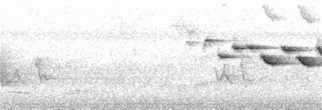 Flavescent Warbler - ML372751691
