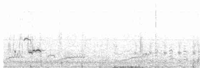 Андская лысуха - ML372769811