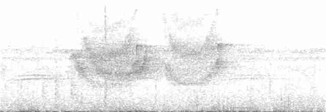Мурав’янка-куцохвіст велика - ML372775601