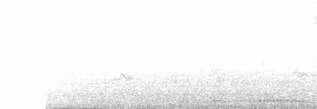 hrdlička kropenatá - ML372910411
