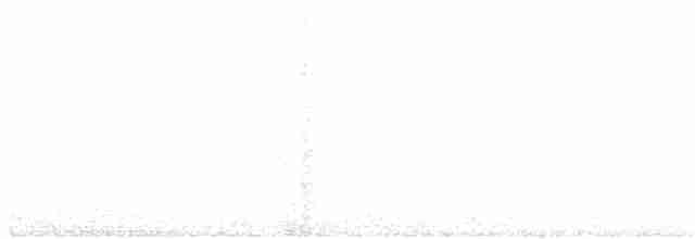 White-crested Tyrannulet (White-bellied) - ML373046851