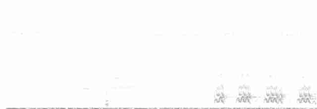 Black-tailed Trogon - ML373242071