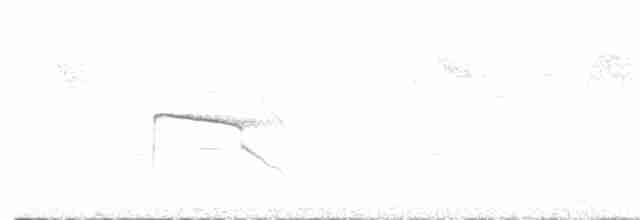 Лінивка-строкатка маскова - ML373243051