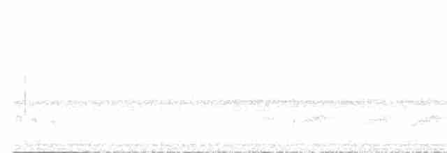White-flanked Antwren - ML373274061