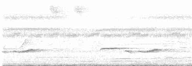 kukačka pískavá (ssp. sepulcralis/everetti) - ML373426051
