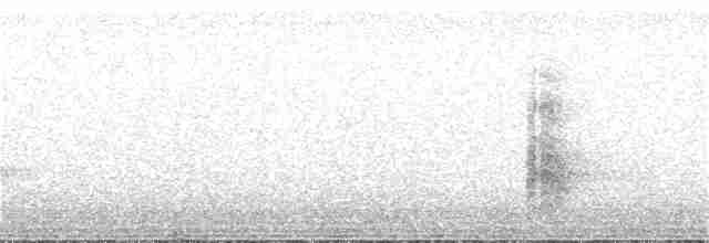 Светлохохлый дятел-гренадер - ML373492941