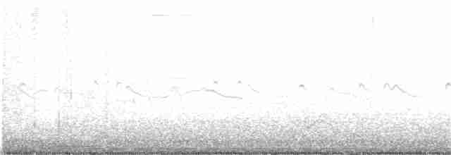 Bewick Çıtkuşu - ML373540351