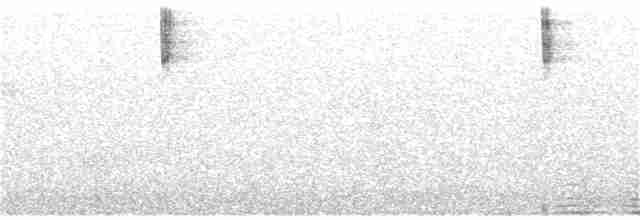 Юнко сірий [група oreganus] - ML373632221