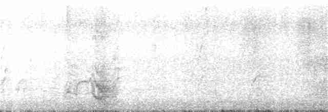Gray-crowned Babbler - ML373691901