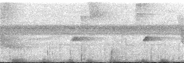 Черногорлый колибри-отшельник - ML37370241