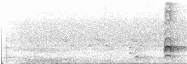 Torresian Kingfisher - ML373728931
