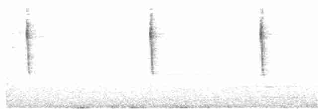 Paruline à couronne rousse (palmarum) - ML37373431