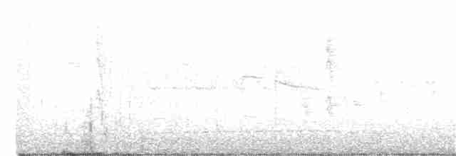 Малая вильсония - ML373801191