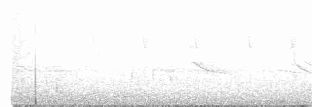Berylline Hummingbird - ML373801521