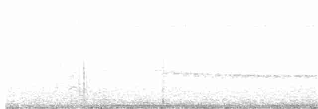 Мурав’янка сірочерева - ML373861711