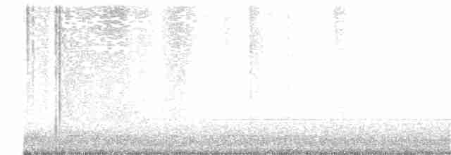 brunkinnskogtrost (swainsoni gr.) - ML373876531