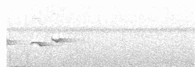 Рувензорская короткохвостка - ML373985381