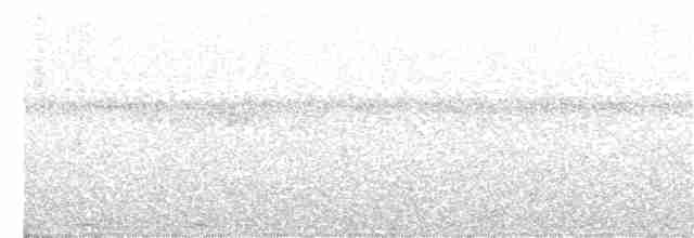 Рувензорская короткохвостка - ML373985411