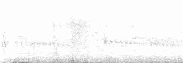 hvitnebbøffelvever - ML374182251