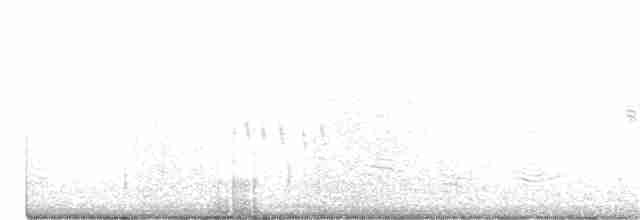 Plectrophane lapon - ML374201211