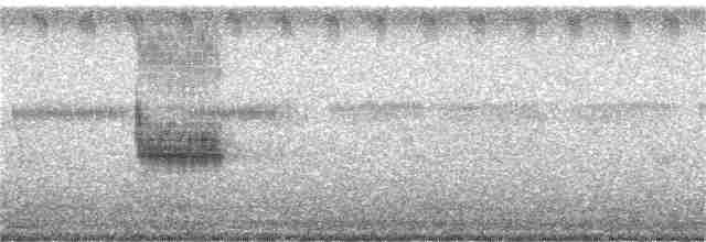 Loggerhead Shrike - ML374325371