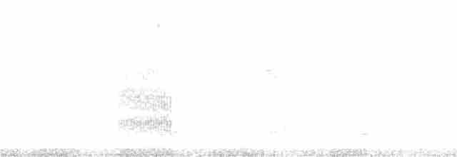 Травяной крапивник [группа elegans] - ML374343331