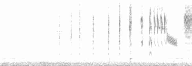 Травяной крапивник [группа elegans] - ML374344521