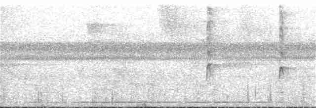 Gray-mantled Wren - ML37440411