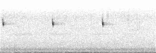 Scissor-tailed Nightjar - ML374440281