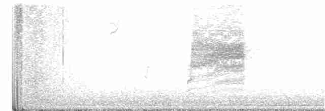 Длиннохвостый крапивник - ML374452351