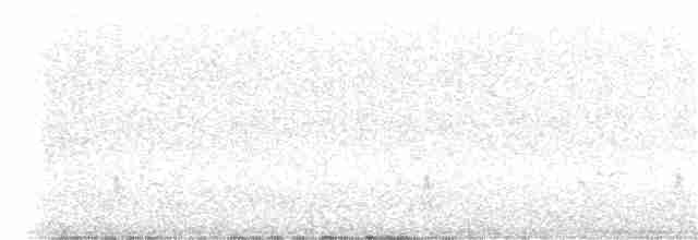 Дрізд-короткодзьоб плямистоволий - ML374713381
