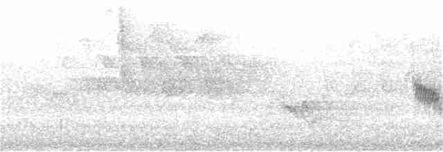 Cerulean Warbler - ML374775241