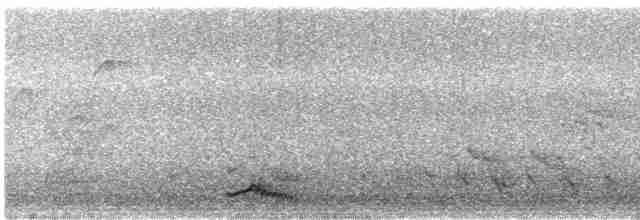 Spotless Crake - ML374885411