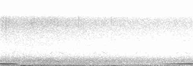 holub bronzovokřídlý - ML374899191