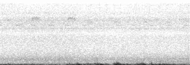 Чапля північна [група herodias] - ML375024601