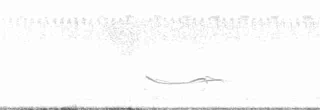 Black-bellied Plover - ML375199251
