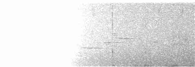 Дрізд-короткодзьоб плямистоволий - ML375239001