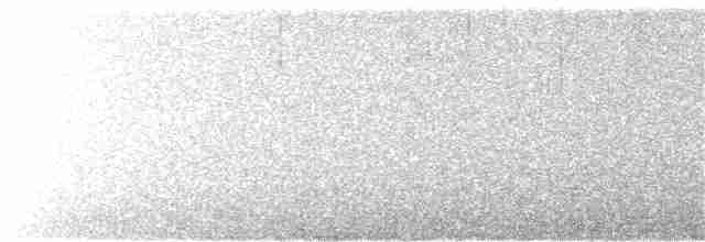 Дрізд-короткодзьоб плямистоволий - ML375239051