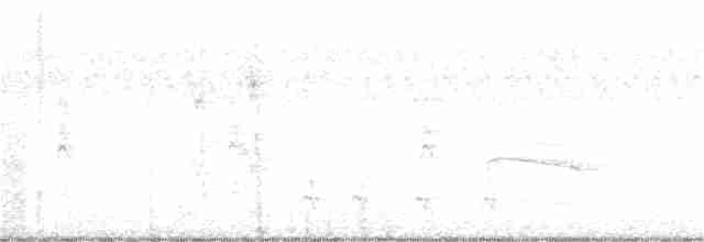 Yumuşak Tüylü Ağaçkakan - ML375273881