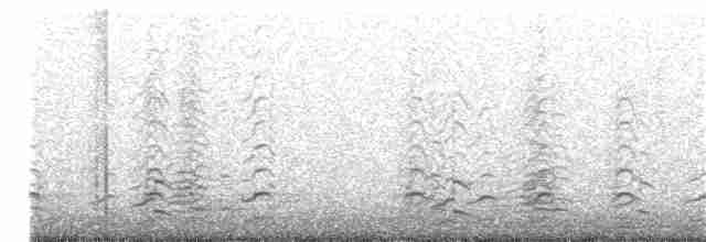Малая канадская казарка (leucopareia) - ML375316941